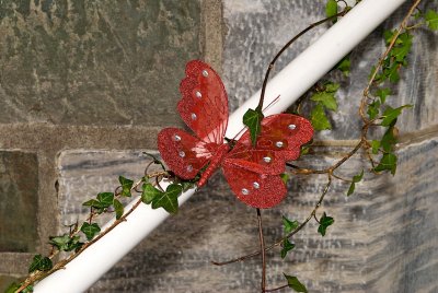 DSC_4006.jpg