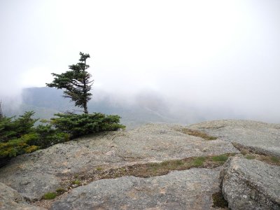 DSCN0097.JPG