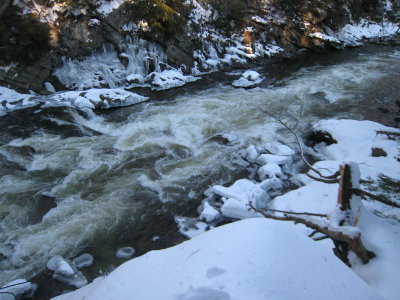IMG_5884.JPG