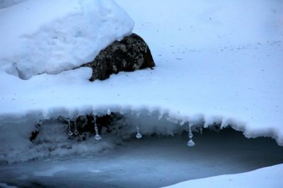Carter Notch 1/27/13