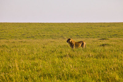 Kenya