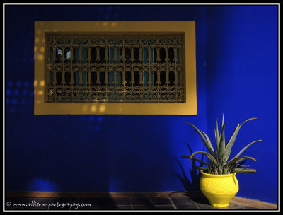 Majorelle gardens