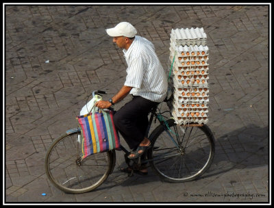 transporting eggs