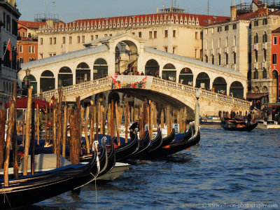Venice 2013 I