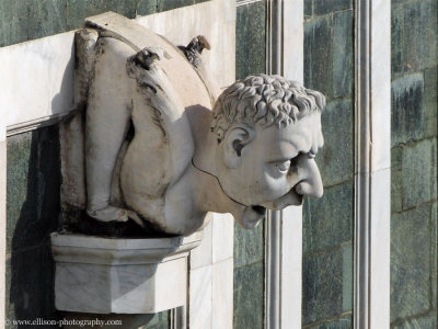 gargoyle on the Cattedrale di Santa Maria del Fiore