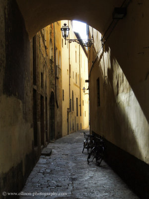 Oltrarno
