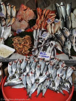 fish stall at Galata