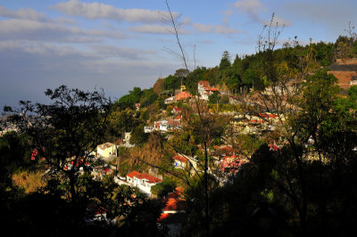 Madiera