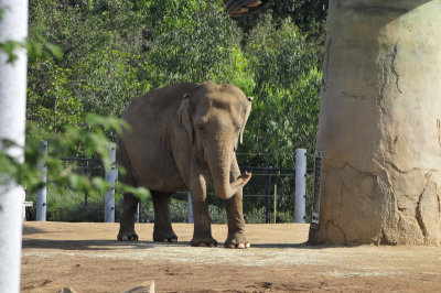 San Diego Zoo