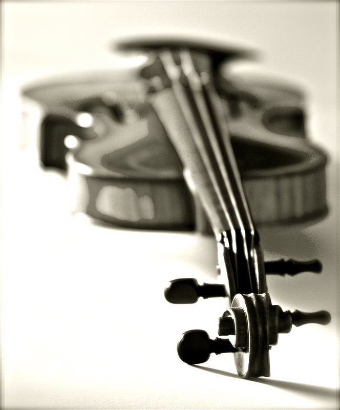 Violin 10