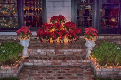 DSCF4112.jpg