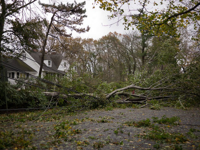 Tropical Storm Sandy hits suburban New Jersey