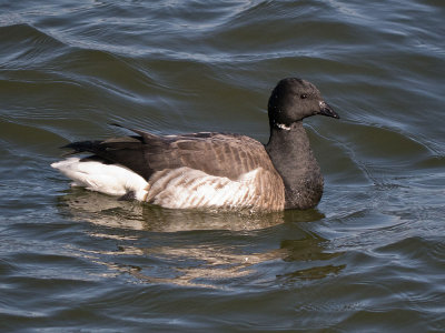 g2/23/1022823/3/148477592.3dv4x7Rm.jpg