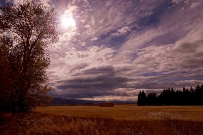 hayfield in Bozeman