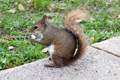 IMG_1261.jpg
