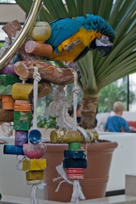 IMG_1649.jpg