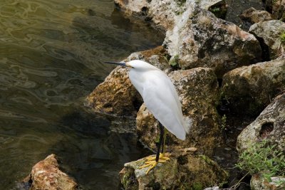 IMG_1690.jpg