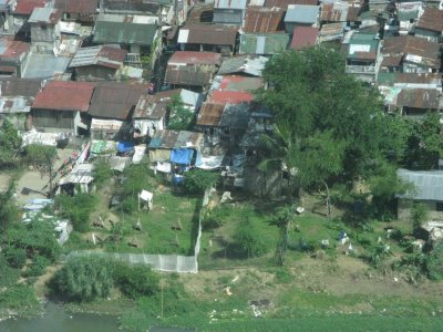 Gardens and mini farms in the city