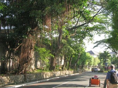 there is lots of tropical greenery and flowers