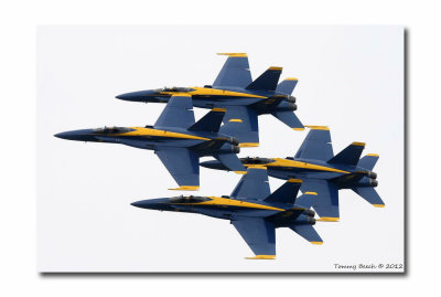 U.S. Navy Blue Angels ~ Boeing F/A-18 Hornet 