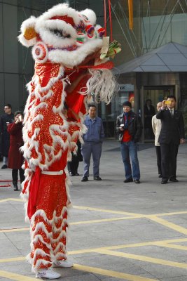 CNY Lion Dance_20.jpg