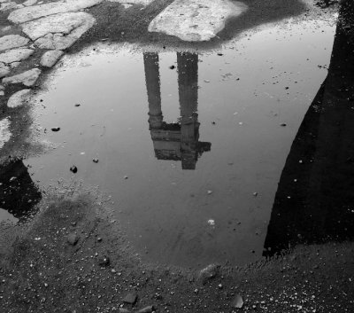 Foro Romano reflection