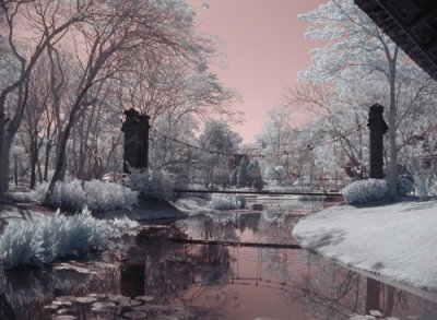 ir8445sm.jpg