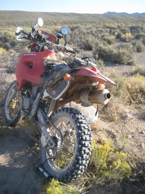 KOTW2011 087.jpg
