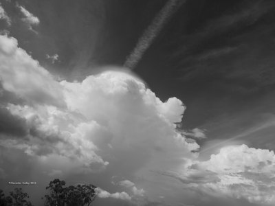 More Coolatai Clouds