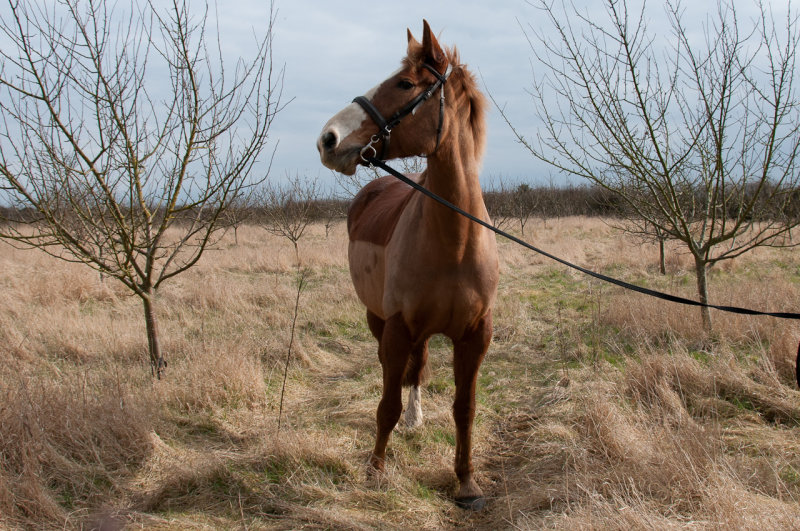 DSC_1142.jpg