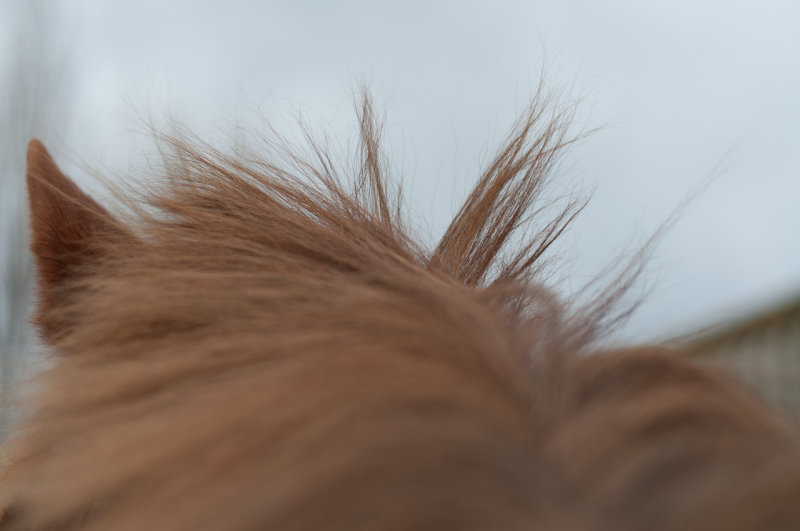 DSC_1242.jpg