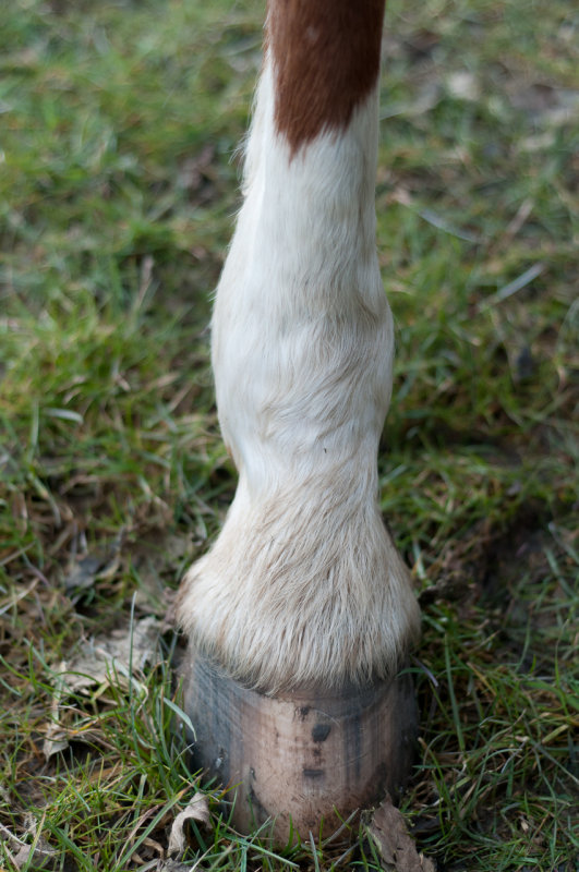 DSC_1253.jpg