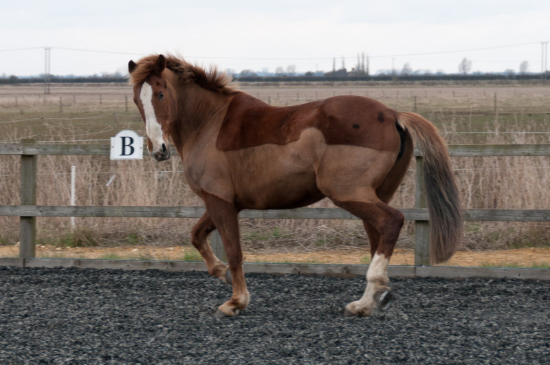 DSC_1274.jpg