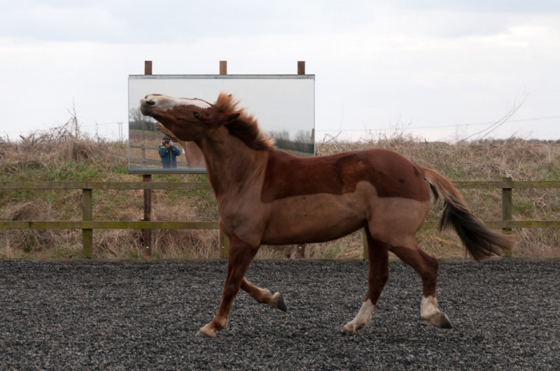 DSC_1297.jpg