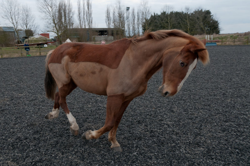 DSC_1379.jpg