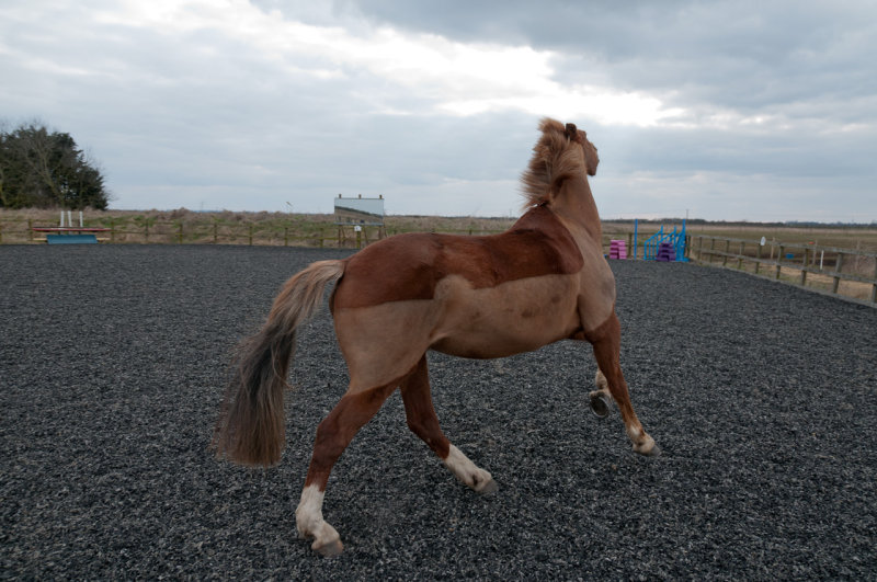 DSC_1382.jpg