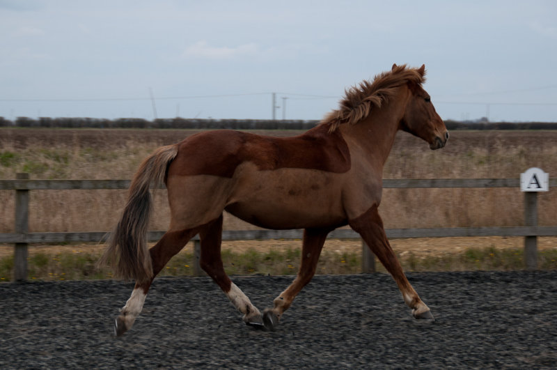 DSC_1396.jpg