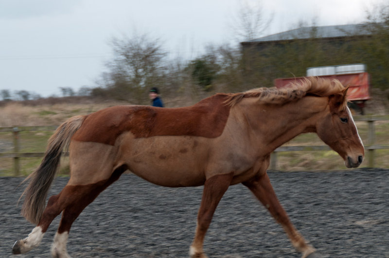 DSC_1399.jpg