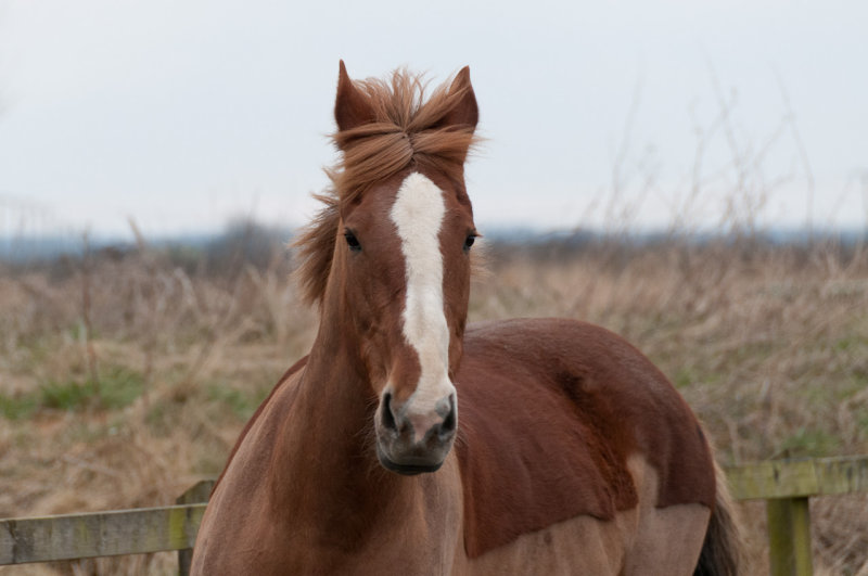 DSC_1471.jpg