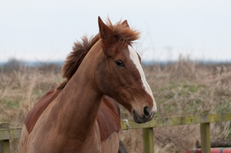 DSC_1472.jpg