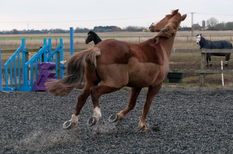 DSC_1476.jpg