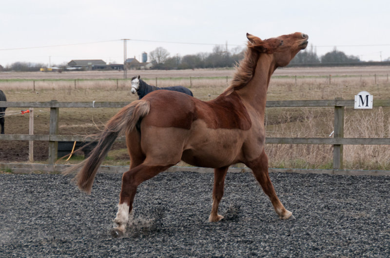 DSC_1477.jpg