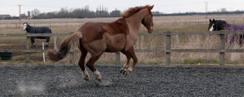 DSC_1478.jpg