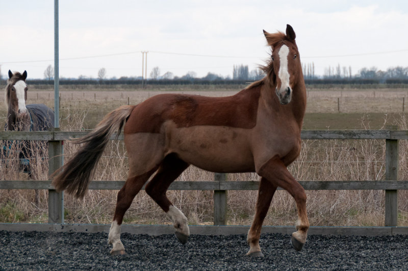 DSC_1482.jpg