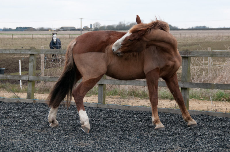 DSC_1514.jpg