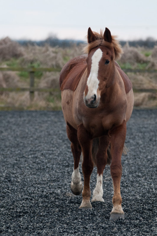 DSC_1583.jpg