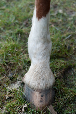 DSC_1253.jpg