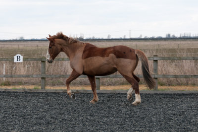 DSC_1273.jpg