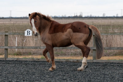 DSC_1274.jpg