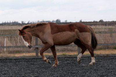 DSC_1295.jpg